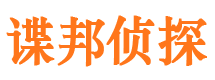 沙河口市调查公司